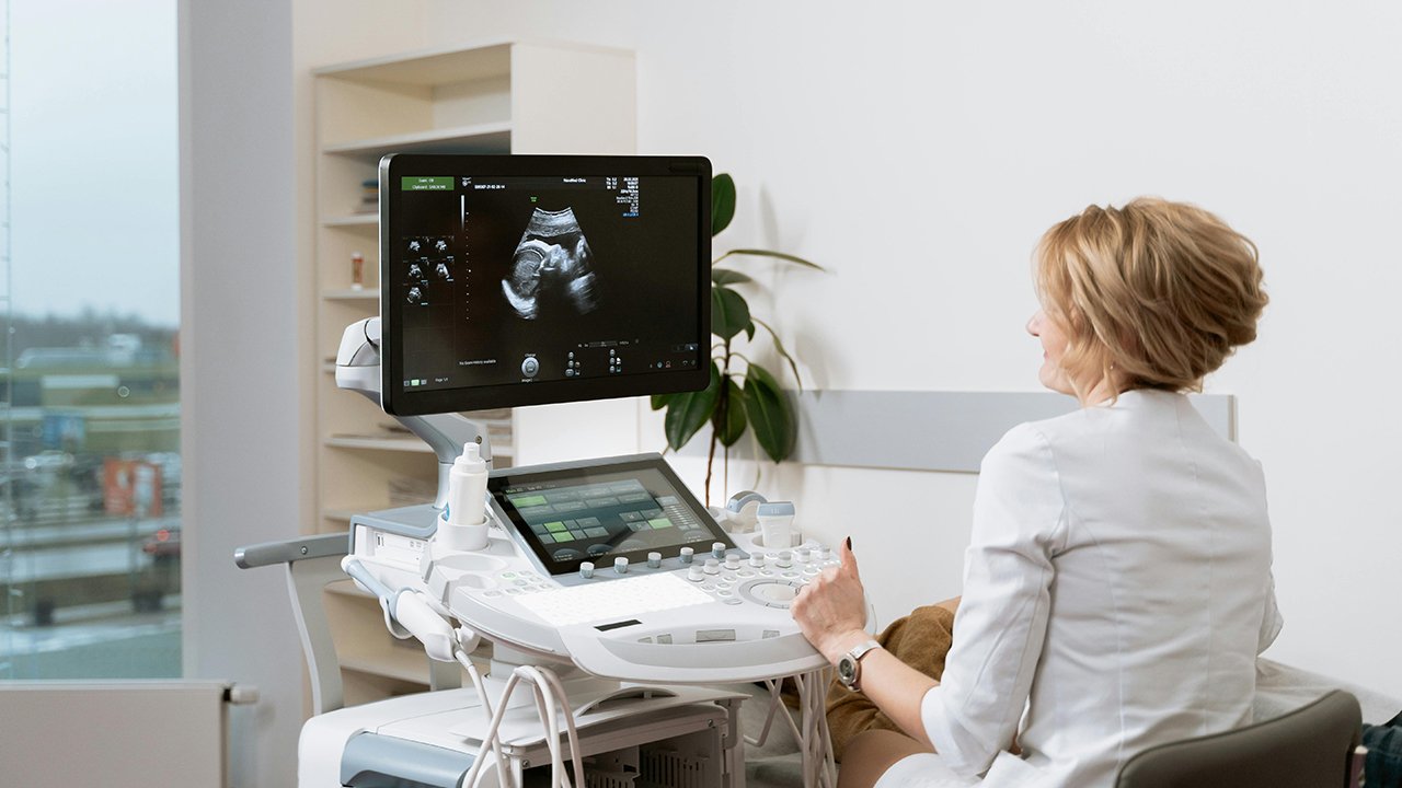 Understanding Female Fertility